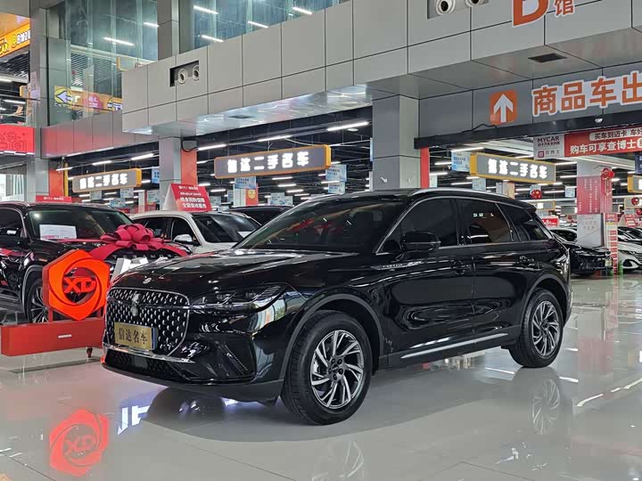 Adventurer 2024 2.0T two-wheel drive exclusive edition
