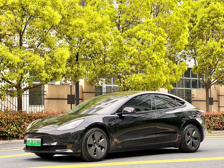 Model 3 2022 rear-wheel drive version