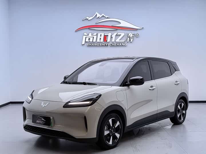 Wuling Bingo PLUS 2024 401km five-seater version