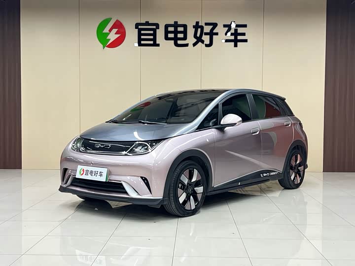 Dolphin 2021 401km Knight Edition