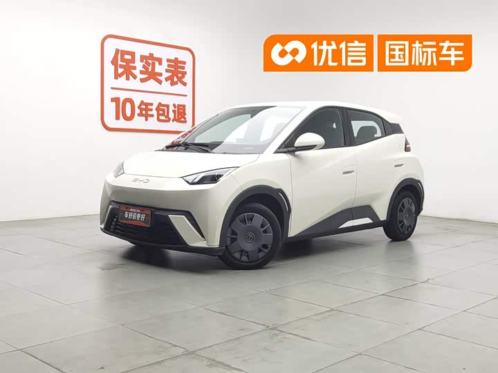 Seagull 2024 Honor Edition 305km Vitality Edition