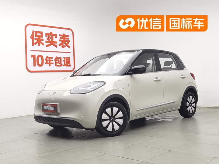 Wuling Bingo 2024 model 333km Yuexiang model