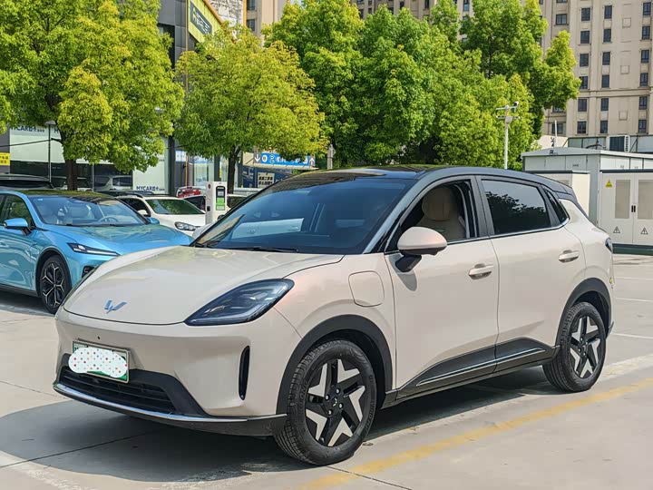 Bingo S 2025 325km flagship model