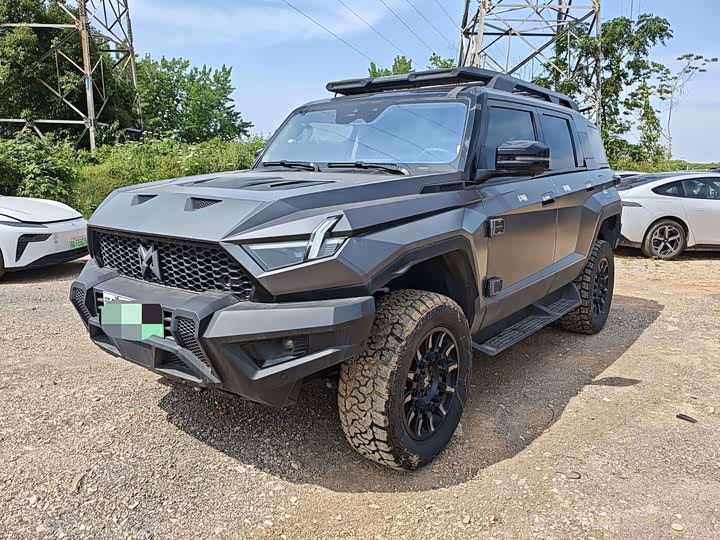 Warrior 917 2023 Pure Electric Founder Edition