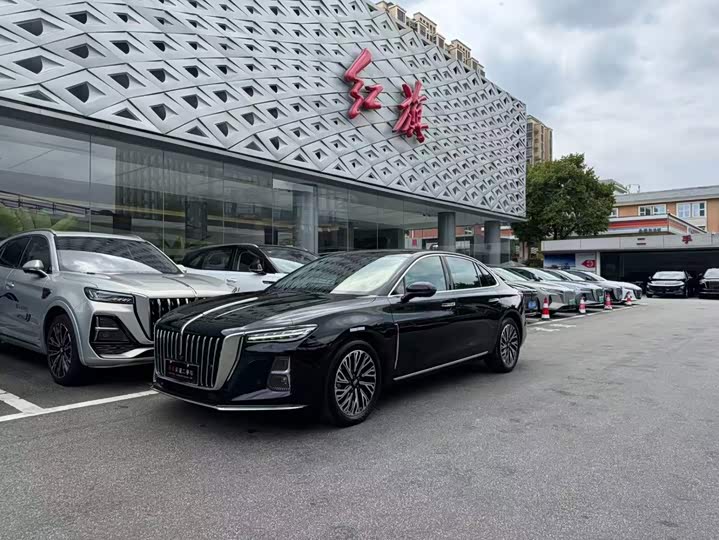 Hongqi H5 2024 2.0T Automatic Zhilianqichang Edition