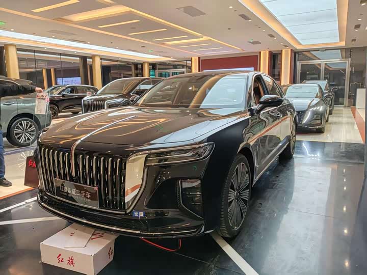Hongqi H9 2024 2.0T Qichang Private Fashion Edition