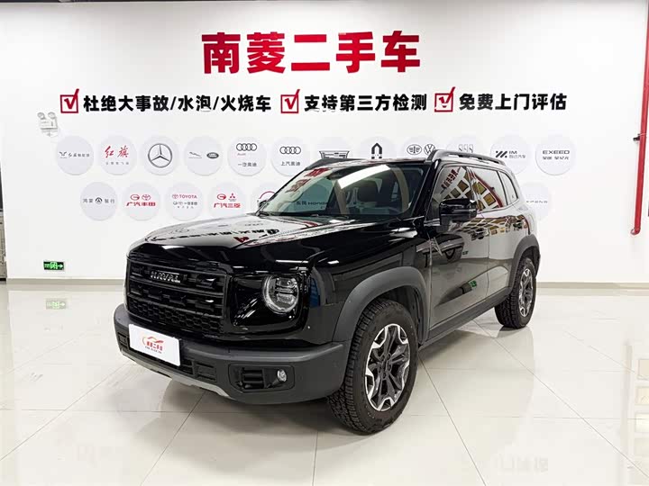 Havaldog 2026 2.0T DCT Chinese Pastoral Dog Edition