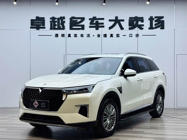 Venucia 2021 260T automatic 48V mild hybrid supercharged star enjoy success version