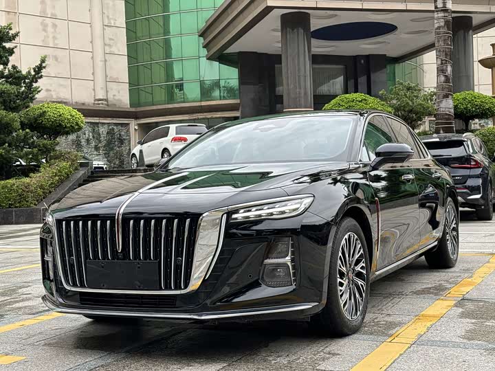 Hongqi H5 2024 2.0T Automatic Zhilianqichang Edition