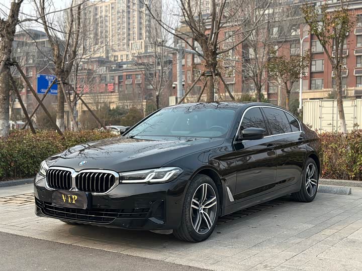 BMW 5 Series 2021 530Li Leading Luxury Package