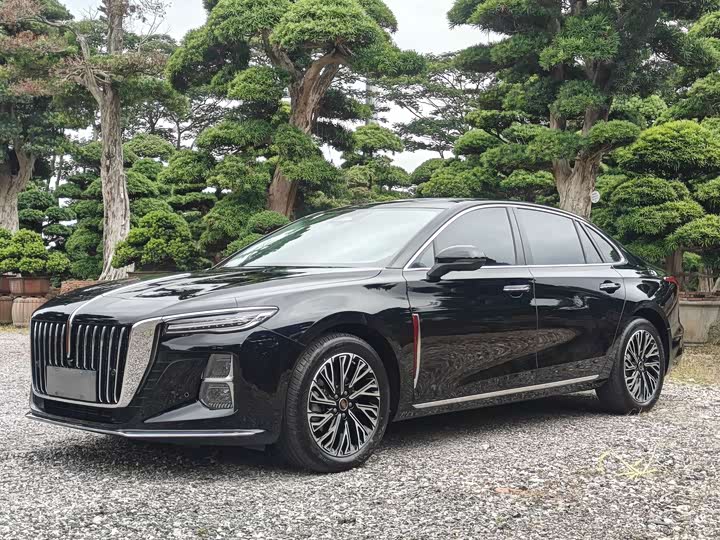 Hongqi H5 2025 2.0T automatic Qichang version