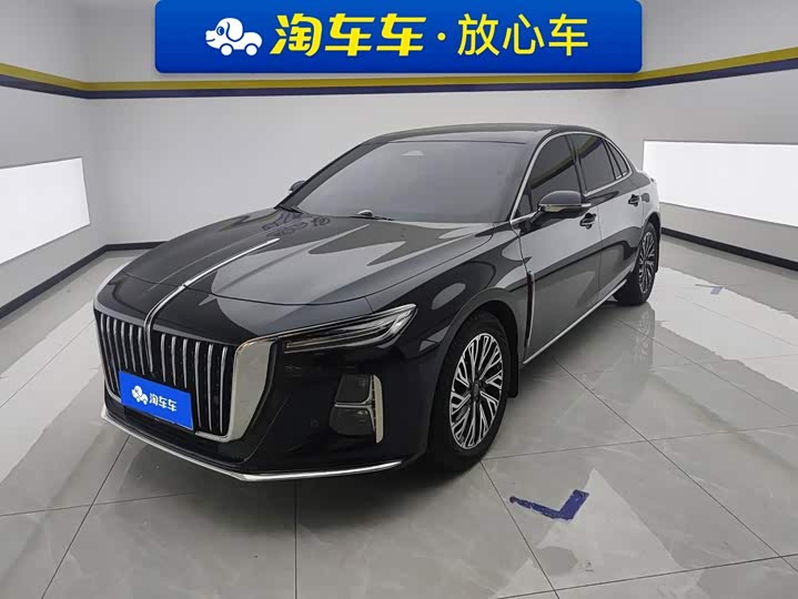 Hongqi H5 2024 2.0T Automatic Zhilianqichang Edition