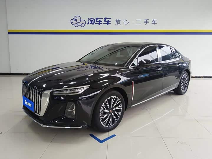 Hongqi H5 2024 2.0T Automatic Zhilianqichang Edition