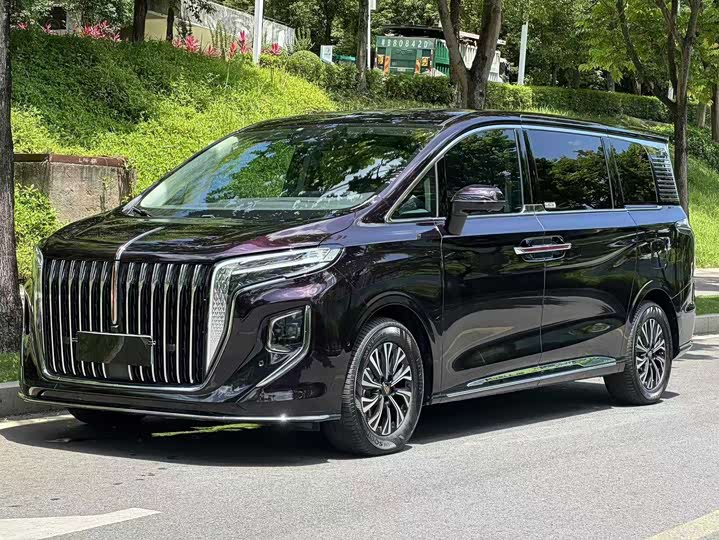 Hongqi HQ9 2024 2.0T Deluxe Edition