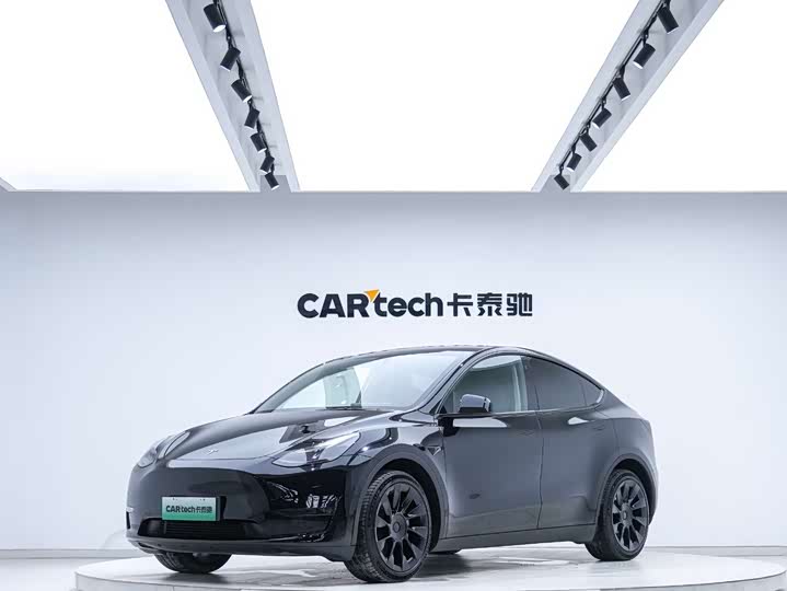 Model Y 2021 standard range rear-wheel drive version