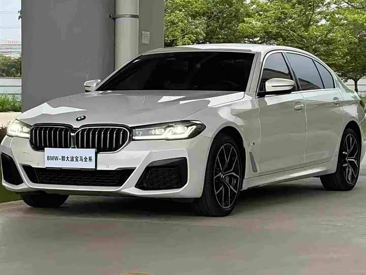 BMW 5 Series 2021 530Li Luxury M Sport Package