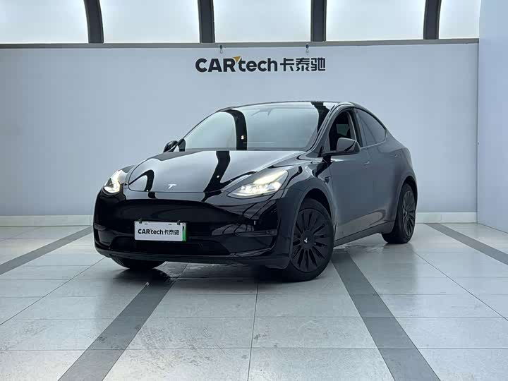 Model Y 2021 Model Long Range Edition