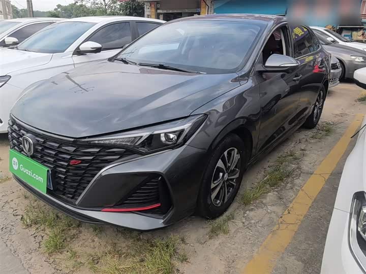 Yidong 2023 Changxiang Edition PLUS Blue Whale NE 1.4T GDI DCT Distinguished Edition