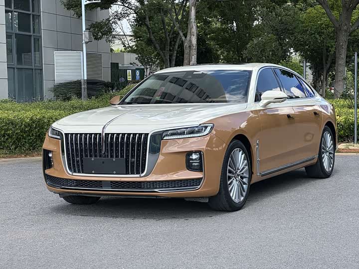 Hongqi H9 2020 2.0T Zhilian Qichang Edition