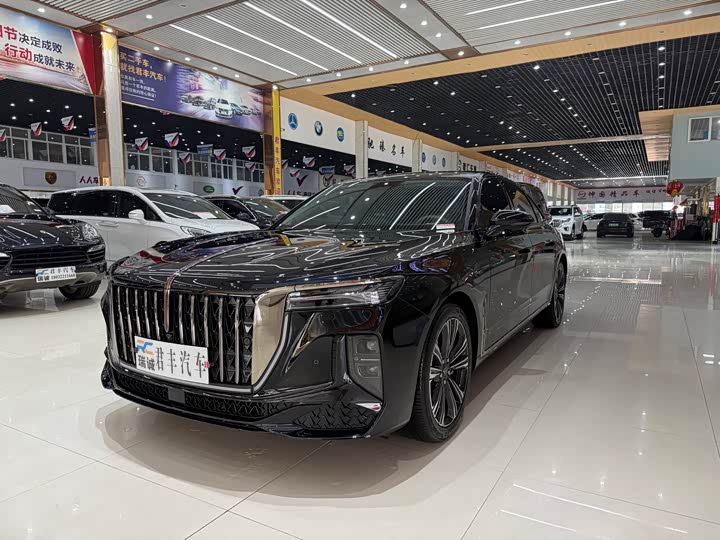 Hongqi H9 2024 2.0T Qixiang Private Fashion Edition