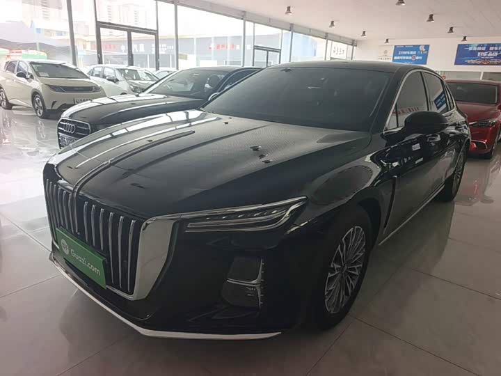 Hongqi H5 2024 2.0T Automatic Intelligent Connected Flag Edition