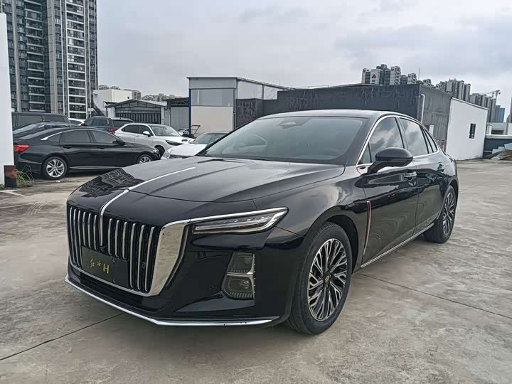 Hongqi H5 2024 2.0T Automatic Zhilian Qichang Edition