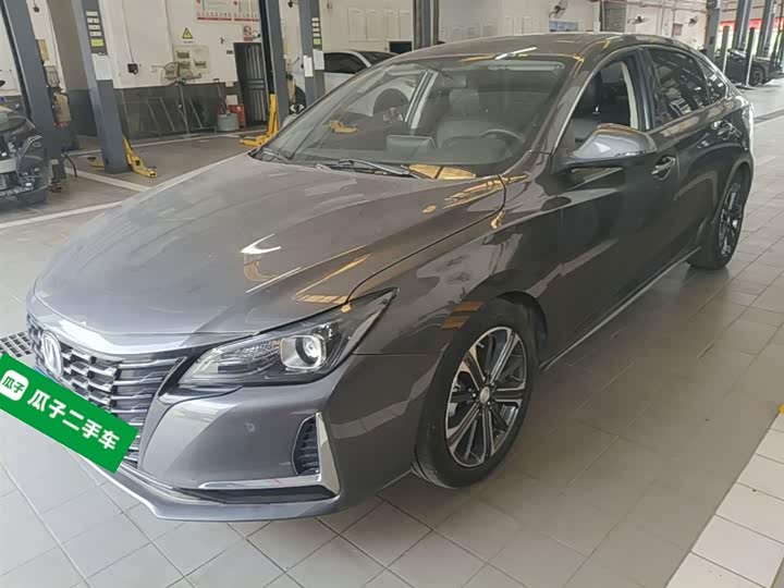 Ruicheng CC 2022 Blue Whale Edition 1.5T DCT Luxury Model