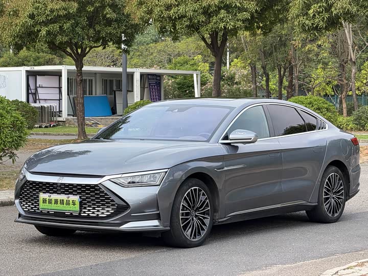Han 2020 DM 4WD Performance Premium Edition