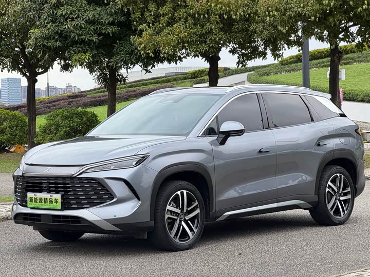 Song L DM-i 2024 112km transcendent model