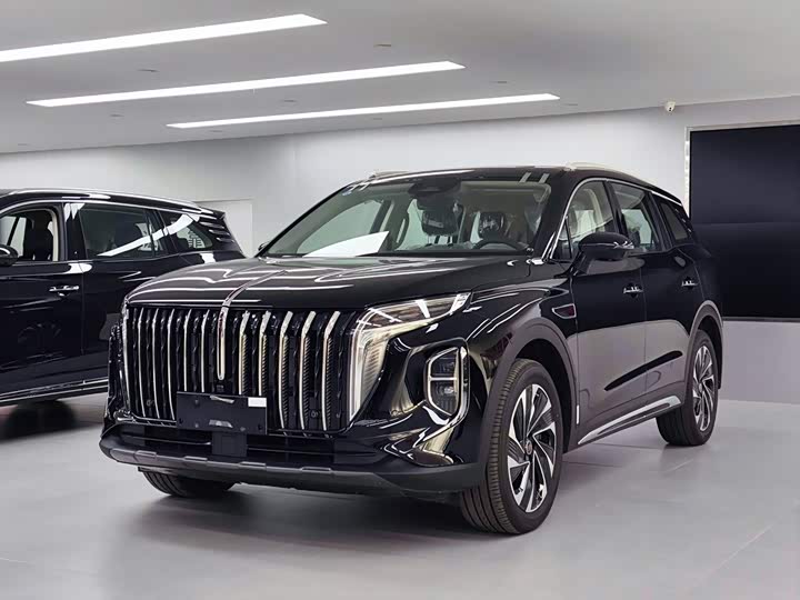 HS7 PHEV 2025 Model 2.0T PHEV 2WD Edition 6