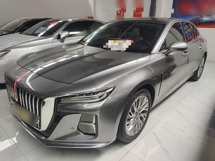 Hongqi H5 2023 2.0T Automatic Zhilian Qichang Edition