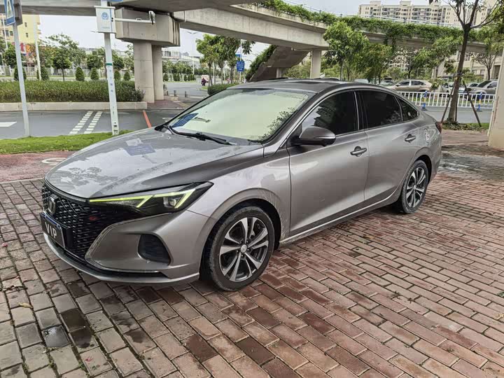 Yidong 2020 PLUS Blue Whale NE 1.4T GDI DCT Flagship Edition