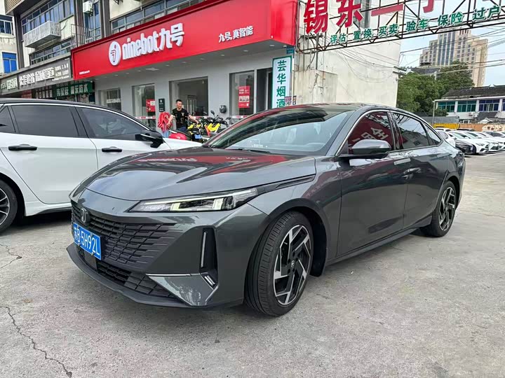 Yida 2023 Blue Whale NE 1.5T GDI DCT Flagship Type