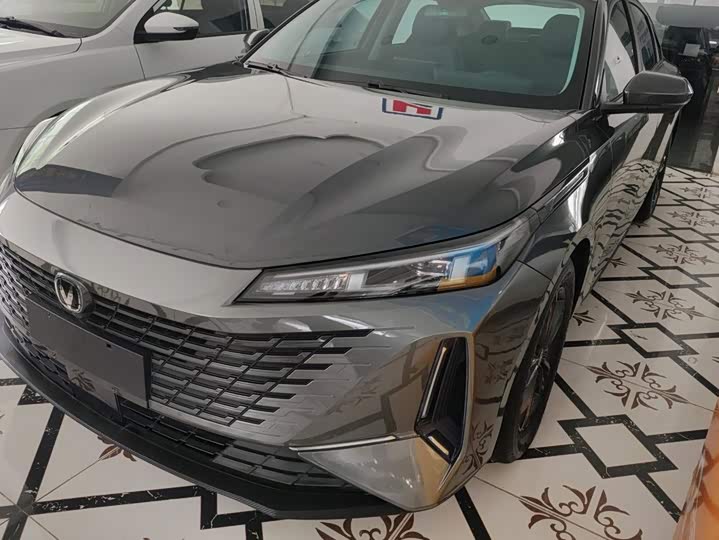 Yida 2023 Blue Whale NE 1.5T GDI DCT Exclusive Type