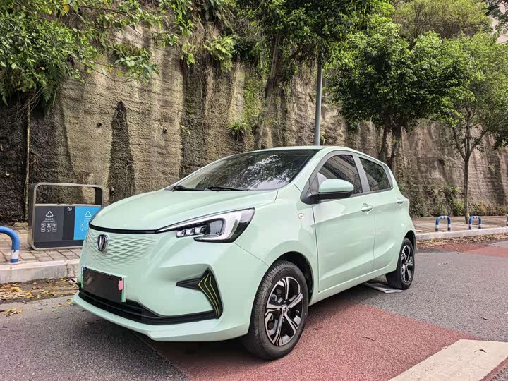 Changan Benben E-Star 2022 Shangxin Edition Colorful Edition LFP