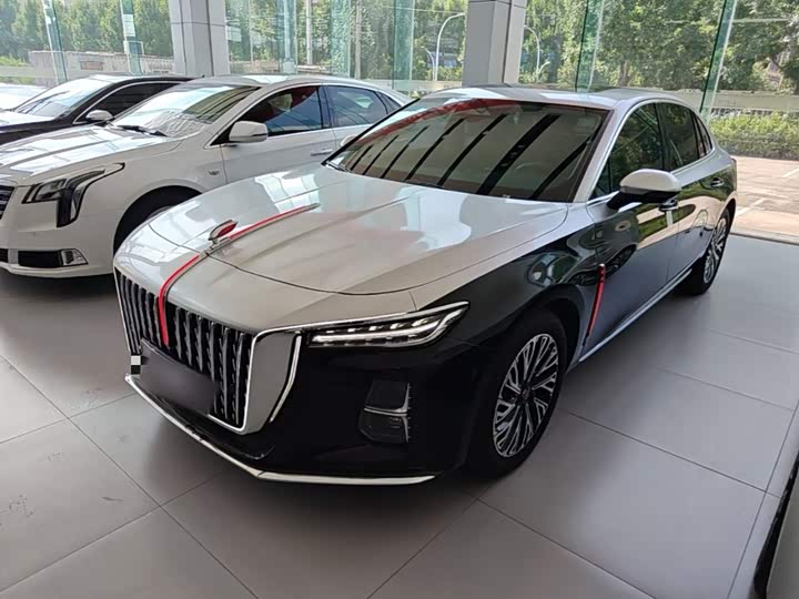Hongqi H5 2024 2.0T Automatic Zhilian Qichang Edition