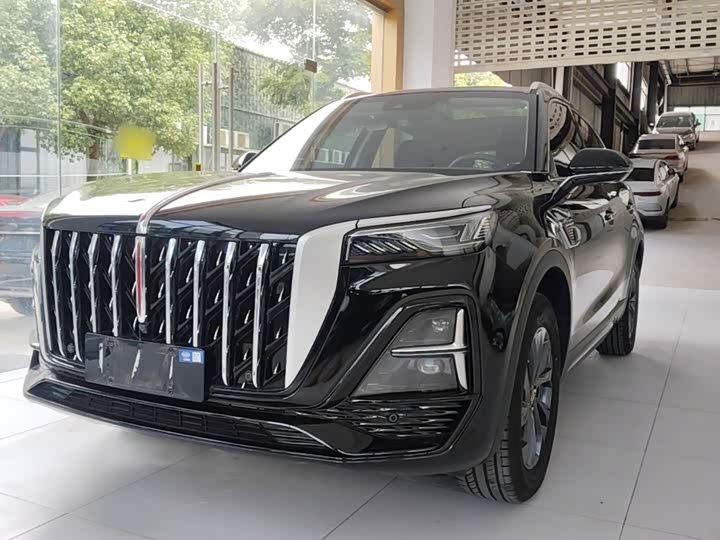 Hongqi HS5 2025 2.0T two-wheel drive Qixiang Pro version