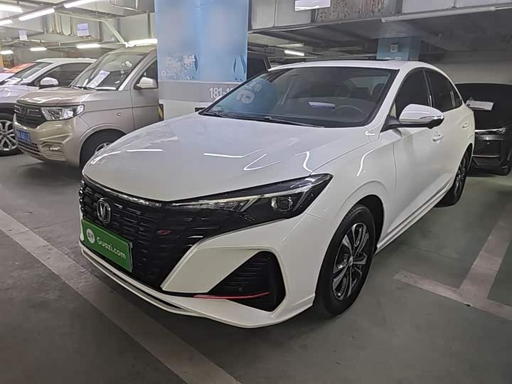 Yidong 2023 Changxiang Edition PLUS Blue Whale NE 1.4T GDI DCT Distinguished Edition