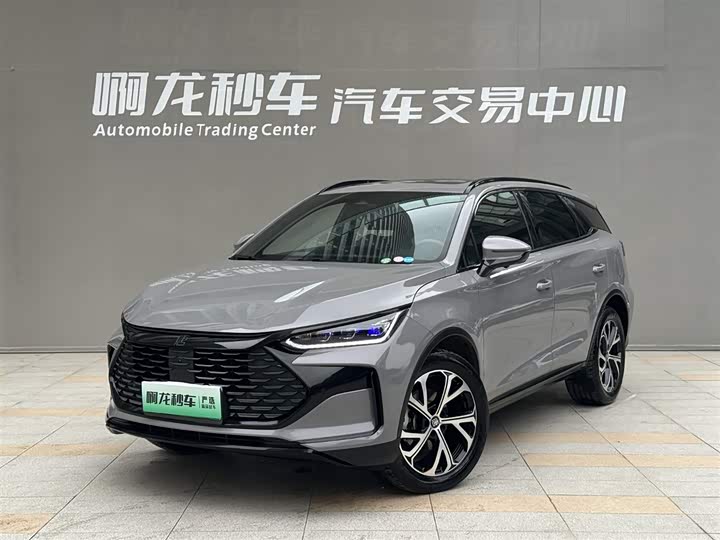 Tangxin Energy 2025 DM-i 115KM Honor Type