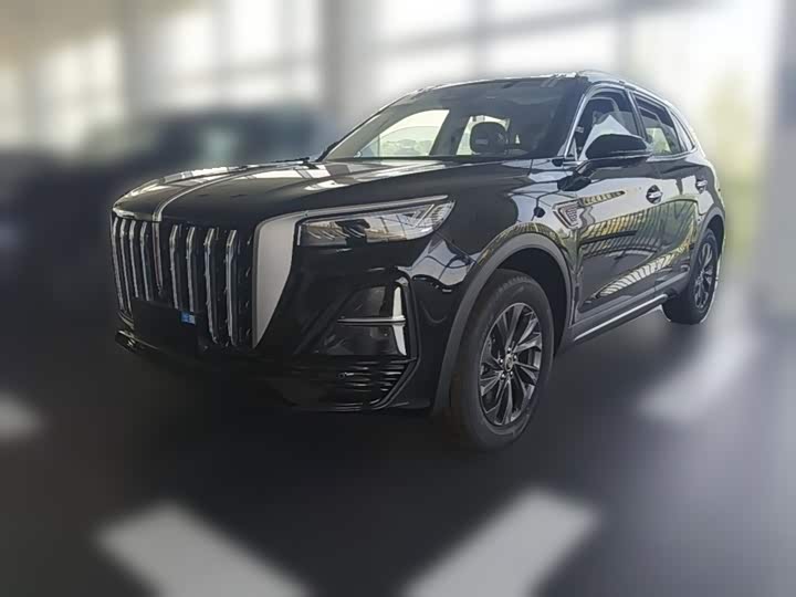 Hongqi HS5 2025 2.0T two-wheel drive Qixiang Pro version
