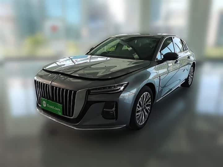 Hongqi H5 2023 2.0T Automatic Zhilian Qichang Edition