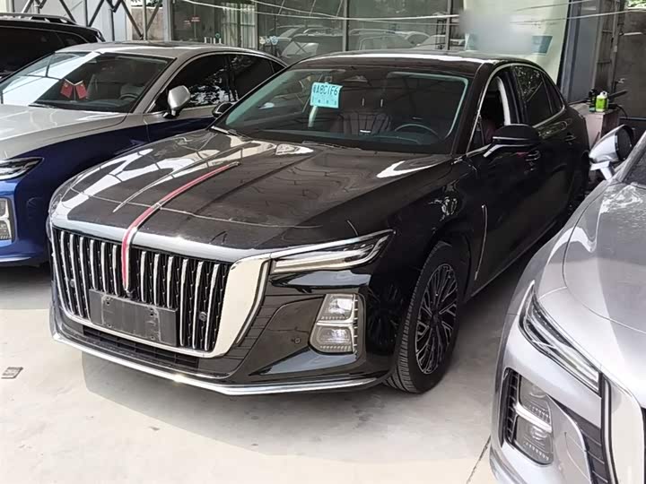 Hongqi H5 2024 2.0T Automatic Zhilian Qichang Edition
