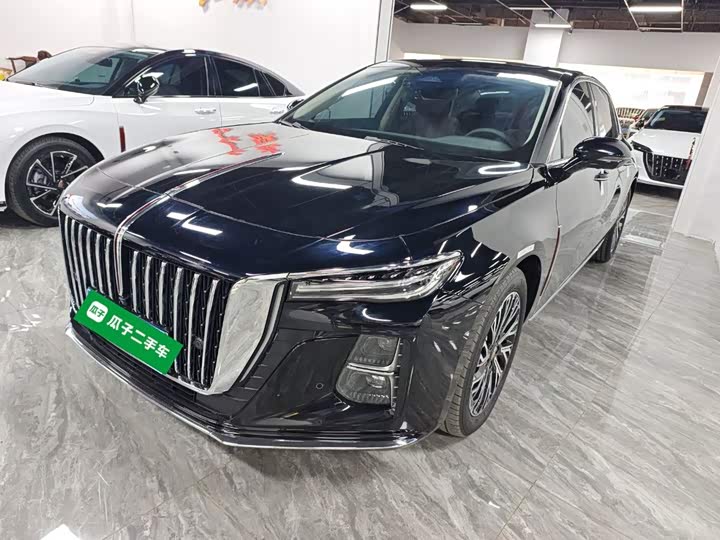 Hongqi H5 2024 2.0T Automatic Zhilian Qichang Edition