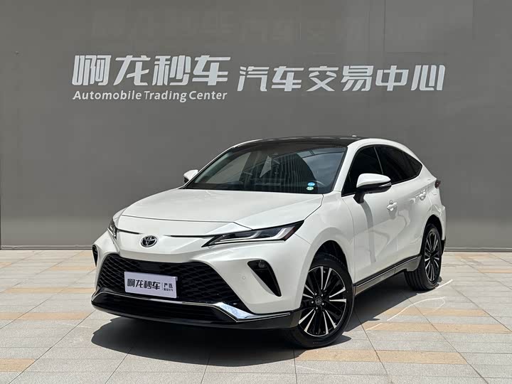 Vesa 2022 2.0L CVT two-wheel drive premium version