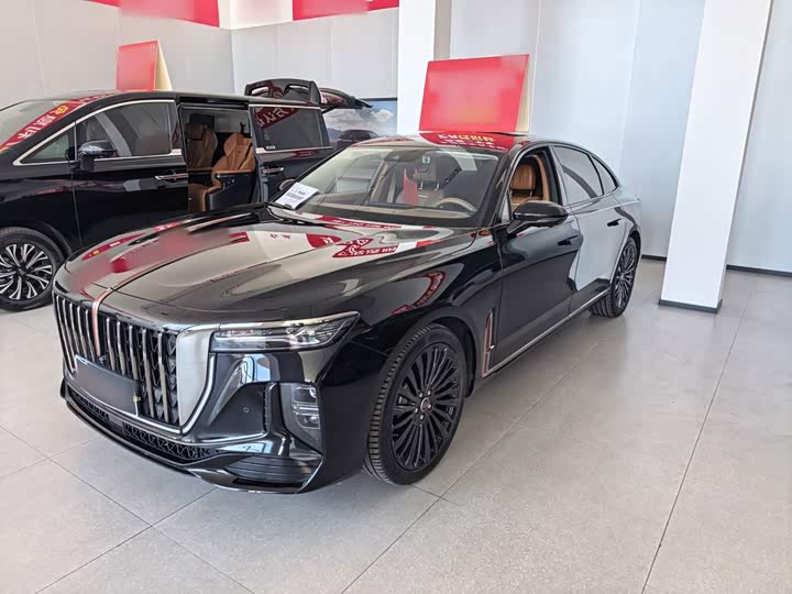 H9 2025 Model Model 2.0T 2WD Edition 5