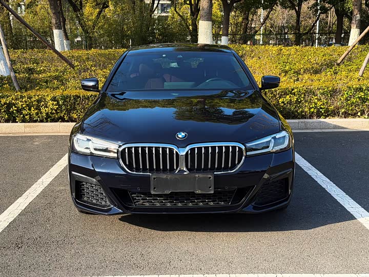 BMW 5 Series 2021 530Li Leading M Sports Package