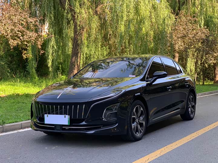 Hongqi E-QM5 2023 basic travel version