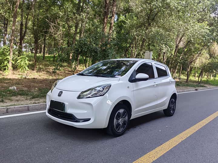 Changan Benben E-Star 2021 National Edition Xinyue Edition Lithium Iron Phosphate (31.18kWh)