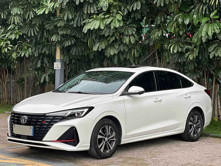 Yidong 2023 Changxiang Edition PLUS Blue Whale NE 1.4T GDI DCT Distinguished Edition