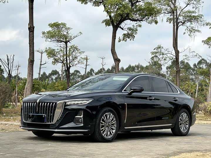 Hongqi H5 2023 2.0T Automatic Zhilian Qichang Edition